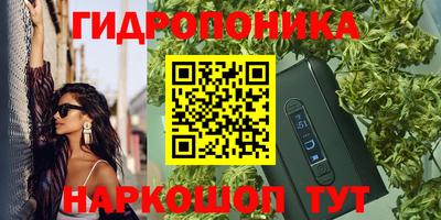сатива Дубна