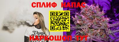 Альфа ПВП Усть-Джегута
