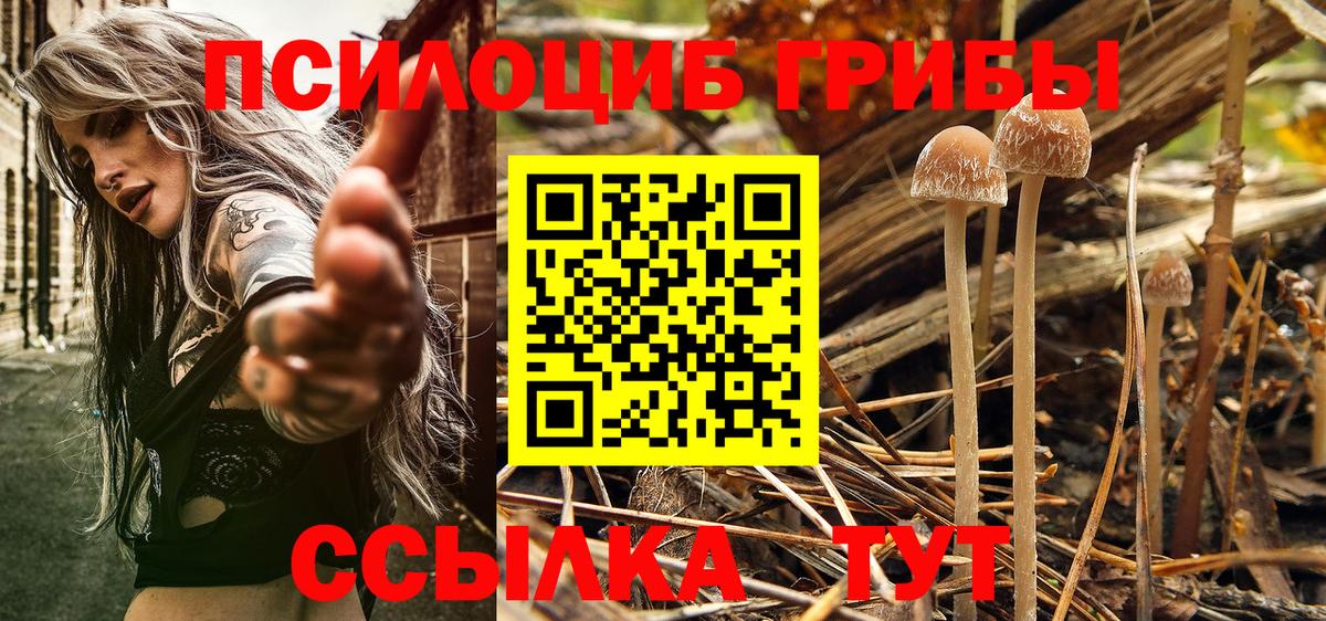 Галлюциногенные грибы Magic Shrooms  Галлюциногенные грибы мицелий  Вход с VPN  Лыткарино 